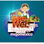Saeweb pyme inv 1R