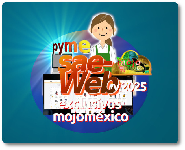 Saeweb pyme inv 1R